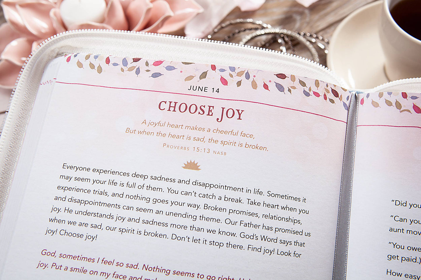 For I Know the Plans (Morning & Evening Zip Devotional)