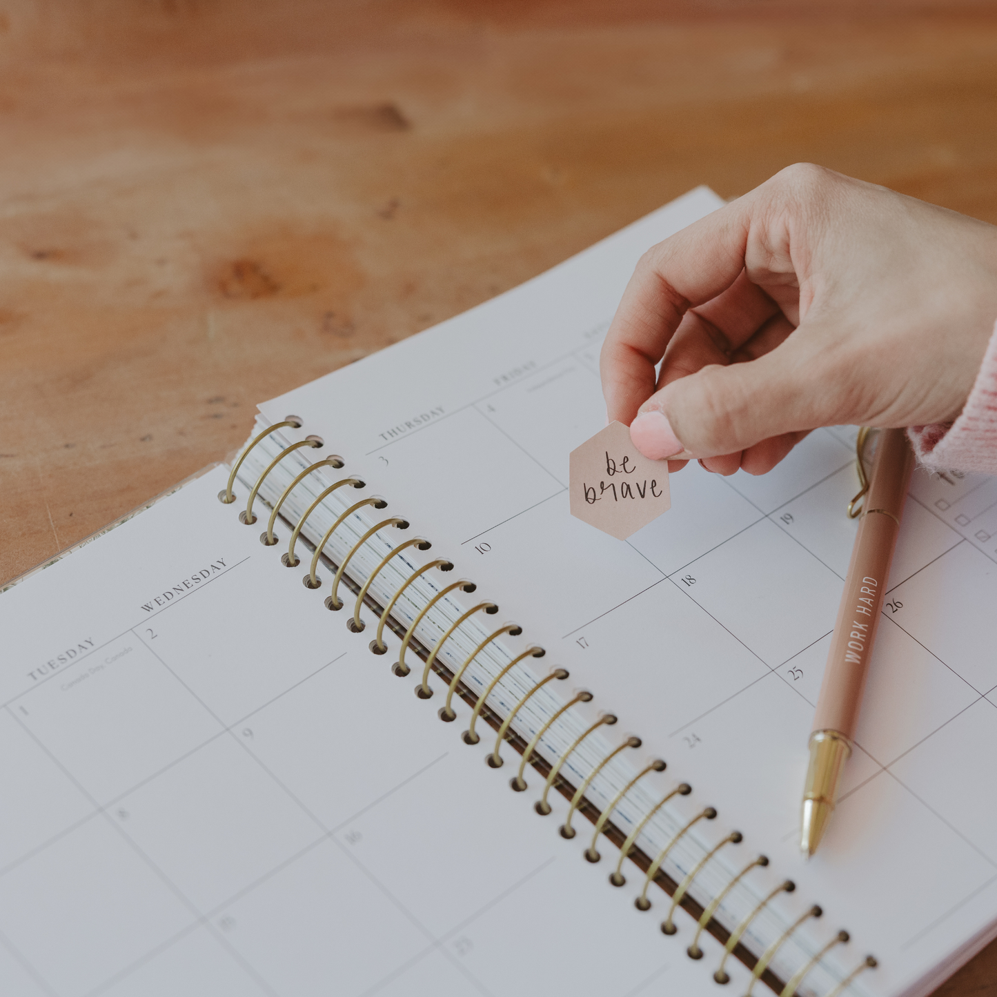 You Have A Purpose 2025-2026 18 Month Planner