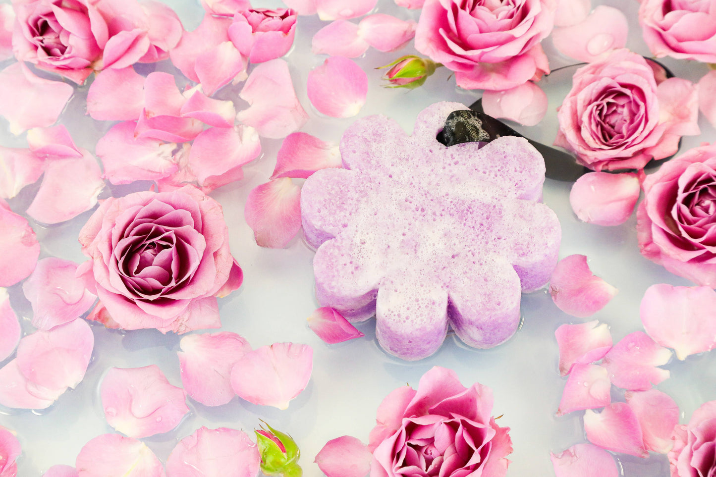 French Lavender Wild Flower | Self-Care Wellness Gifts
