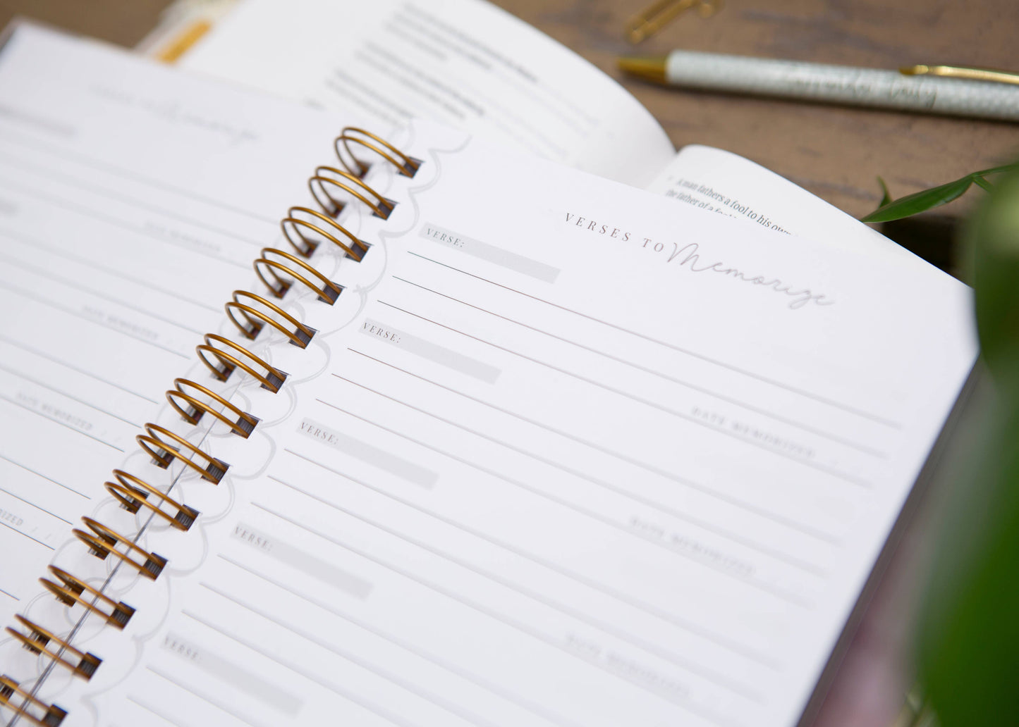 Be Still Prayer Journal | Womens Prayer Journal