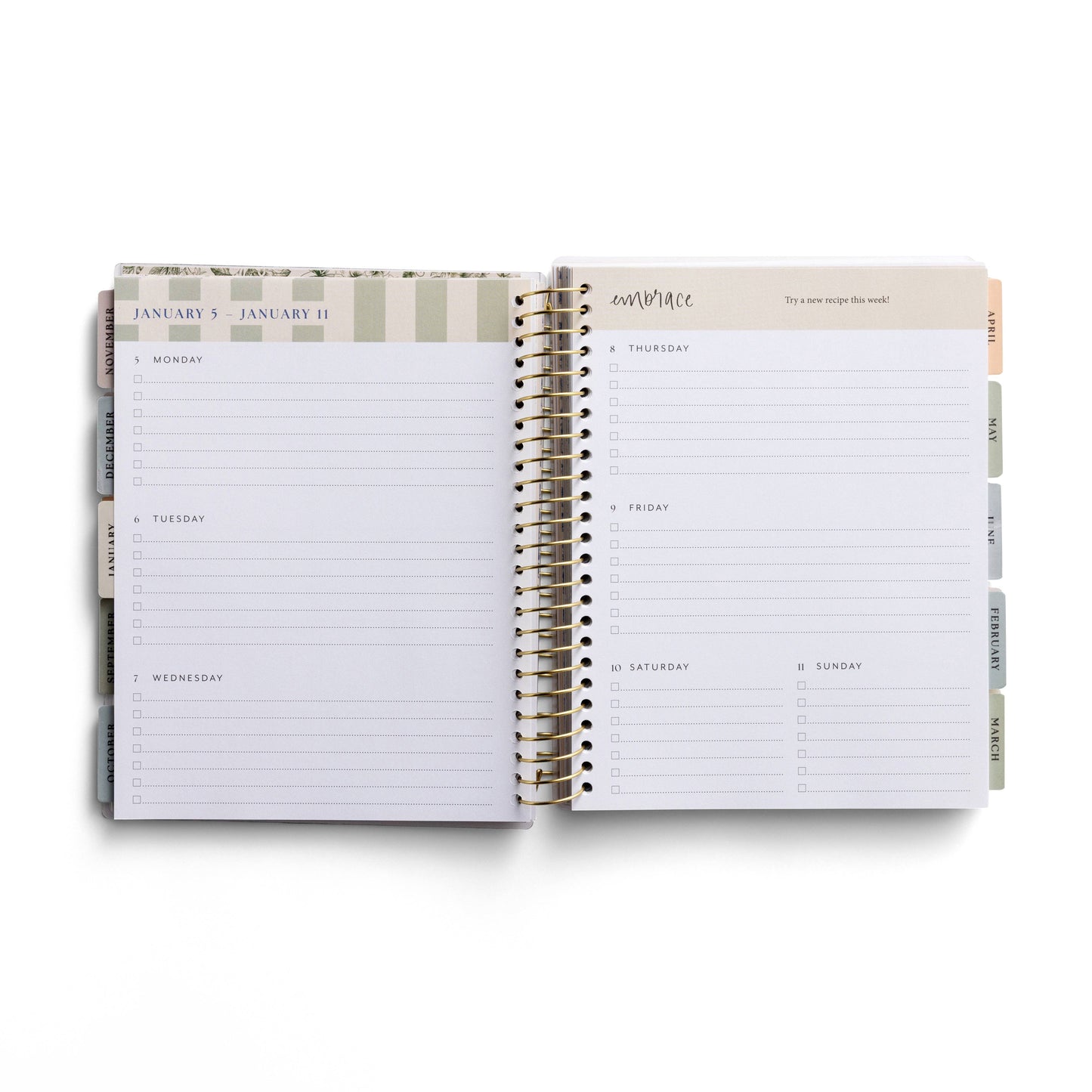 You Have A Purpose 2025-2026 18 Month Planner