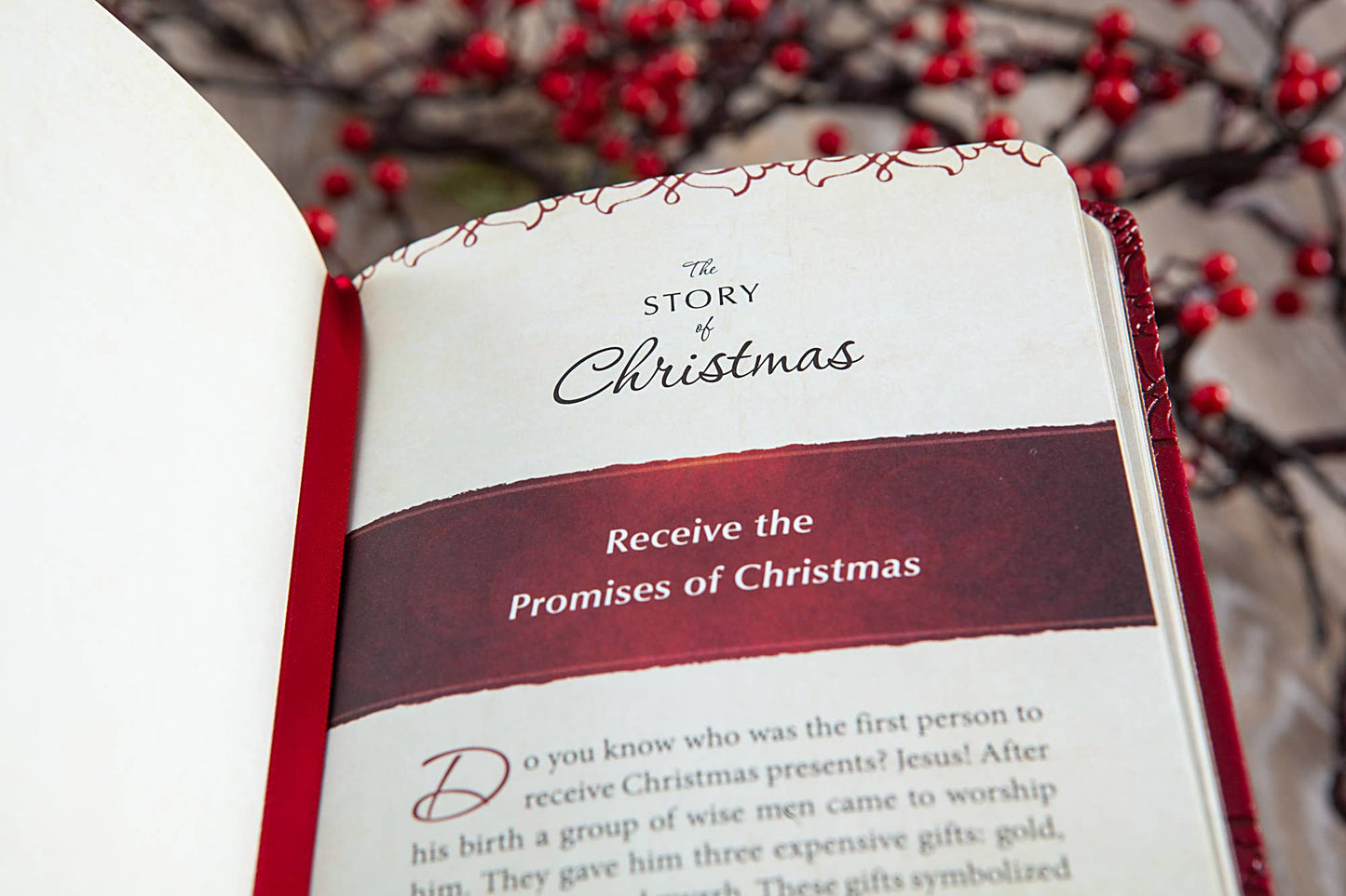 The Story of Christmas (Advent Devotional)