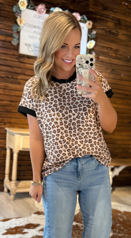 Leopard Black Trim Top