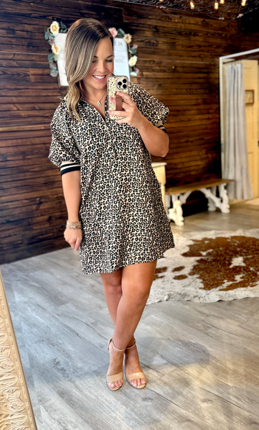 Leopard/Taupe Dress